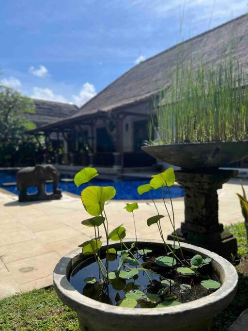 Bali Berg Villa, Sanur Exteriör bild